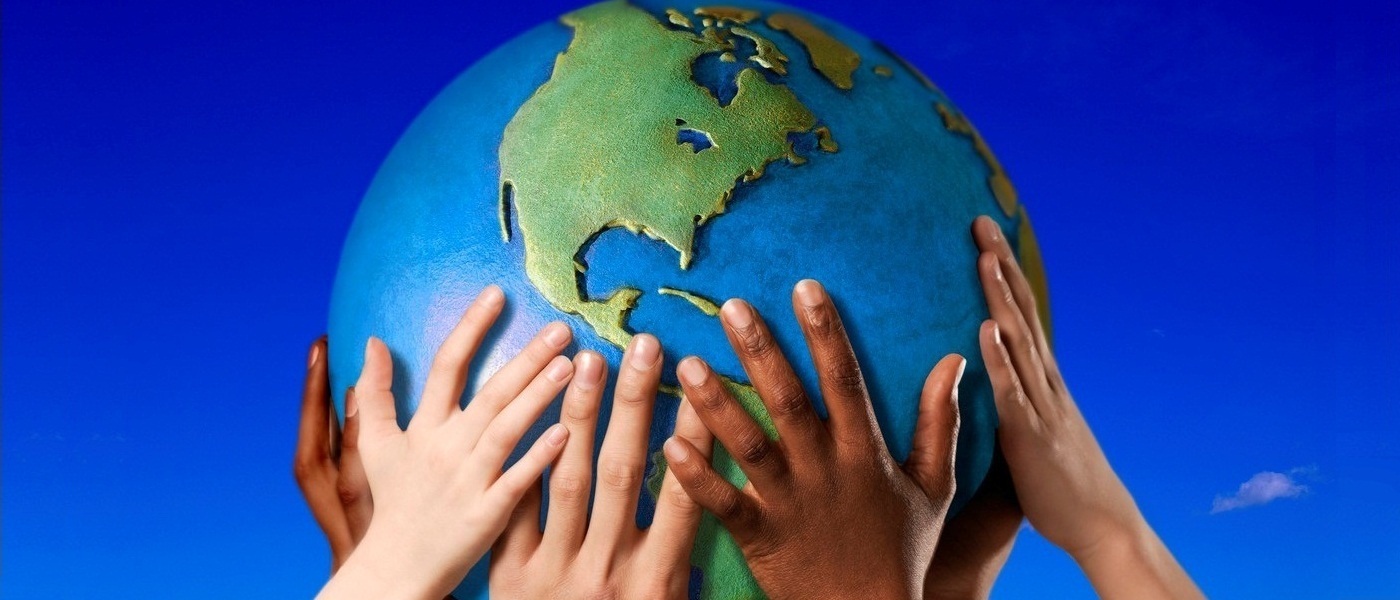 ngo11